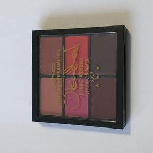 Lip and Cheek Palette